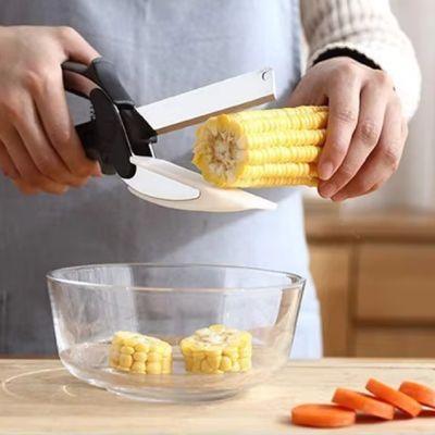 ciseaux-de-cuisine-en-acier-inox