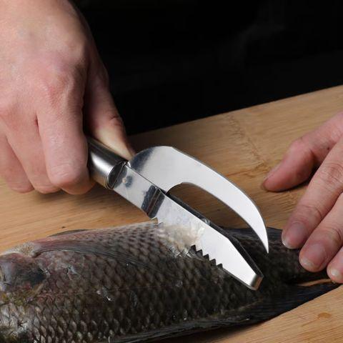 couteau-a-poisson-ecales