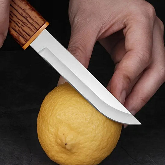 couteau-pour-cuisine-phoenix