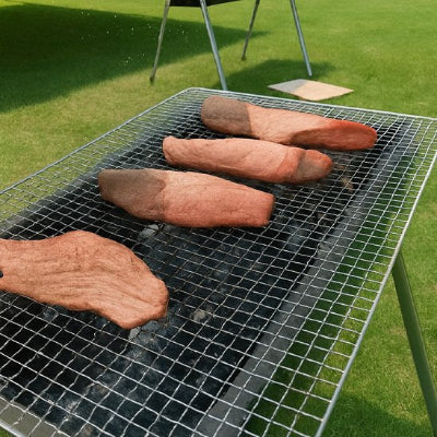 Grille-pour-barbecue-métallique 