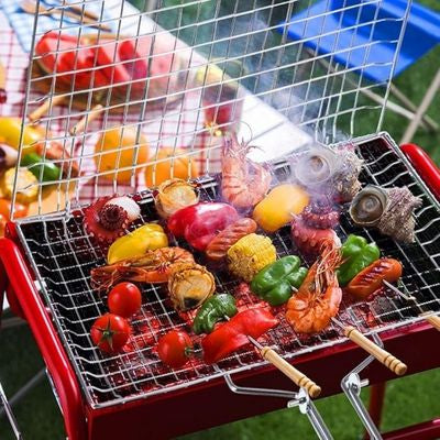 GRILLE POUR BARBECUE | PERFECT-GRILL