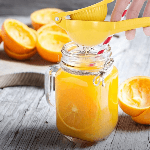 presse-citron-manuel-boisson