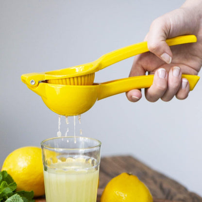 presse-citron-manuel-famille