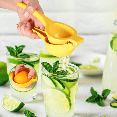 PRESSE CITRON MANUEL | SOURPRESS
